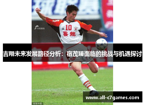 吉翔未来发展路径分析：宿茂臻面临的挑战与机遇探讨