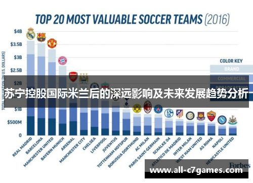 苏宁控股国际米兰后的深远影响及未来发展趋势分析