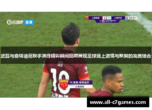 武磊与奇塔迪尼联手演绎精彩瞬间回顾展现足球场上激情与默契的完美结合