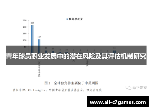 青年球员职业发展中的潜在风险及其评估机制研究