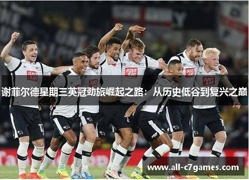 谢菲尔德星期三英冠劲旅崛起之路：从历史低谷到复兴之巅