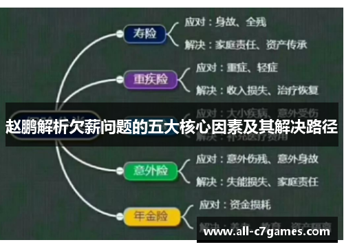 赵鹏解析欠薪问题的五大核心因素及其解决路径