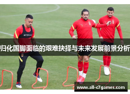 归化国脚面临的艰难抉择与未来发展前景分析